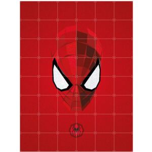 IXXI Skladaný obraz IXXI Icon Spider Man