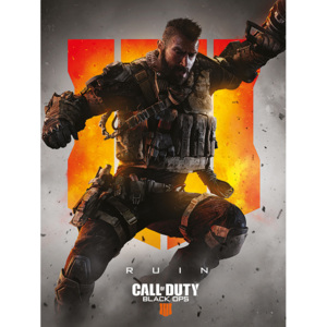 Obraz na plátne Call of Duty: Black Ops 4 - Ruin, (60 x 80 cm)